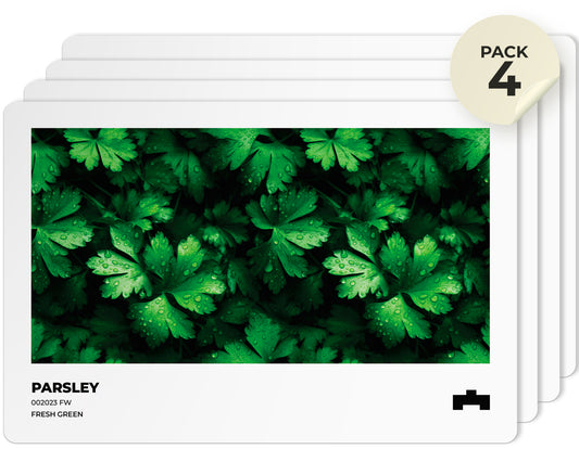 Pack de 4 Salvamanteles Individuales - Comida Perejil 45x30 cm